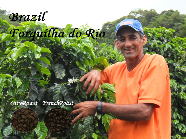 ブラジルコーヒー