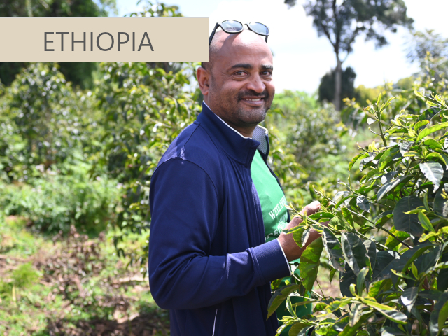 エチオピアコーヒー