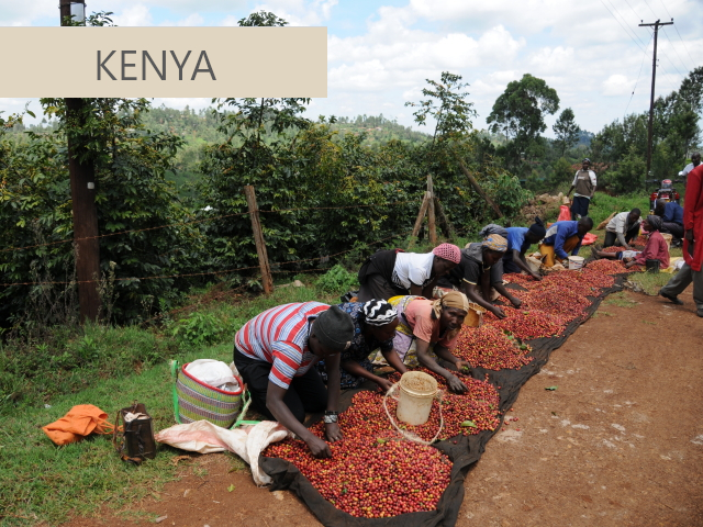 ケニアコーヒー