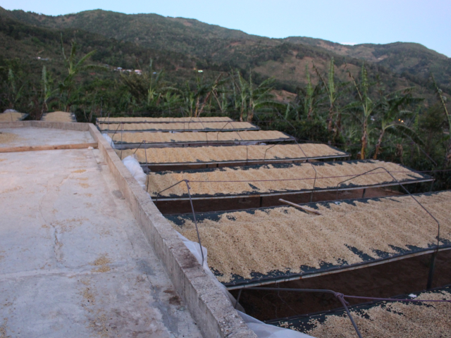 コスタリカコーヒー