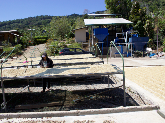 コスタリカコーヒー