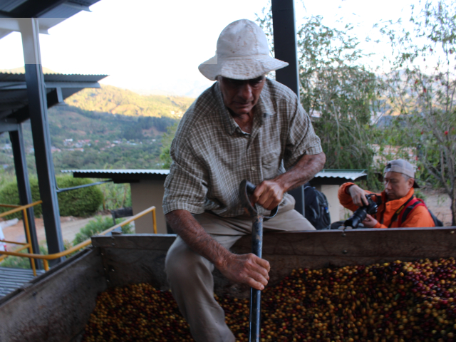 コスタリカコーヒー