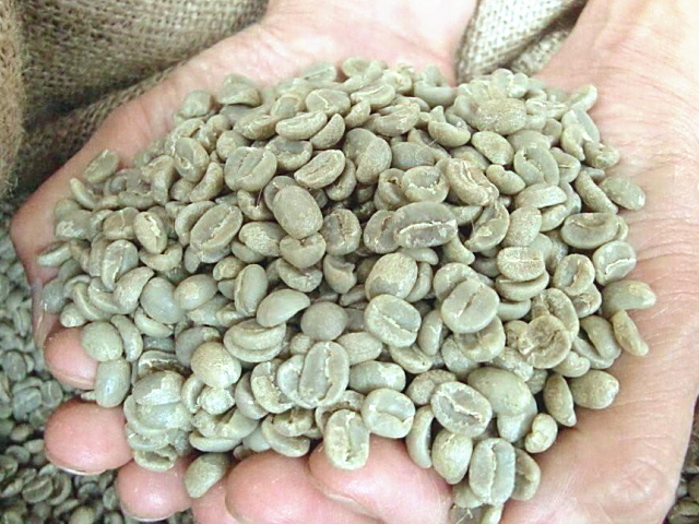 コーヒーの生豆