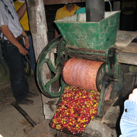 コーヒー豆のパルパー